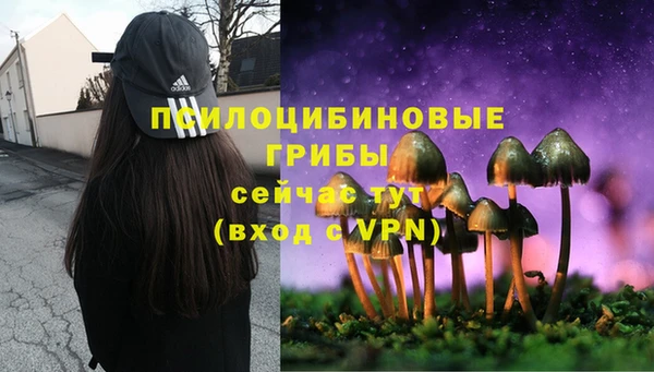 мяу мяу кристалл Надым