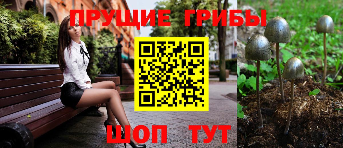 Псилоцибиновые грибы мухоморы  Ахтубинск 