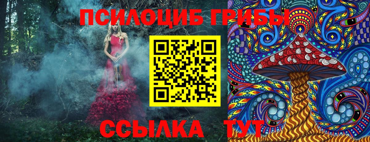 Псилоцибиновые грибы ЛСД Ахтубинск