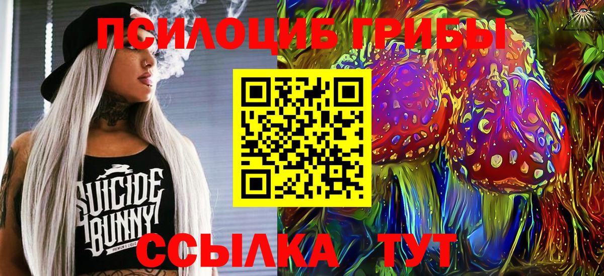 Галлюциногенные грибы прущие грибы  Псилоцибиновые грибы прущие грибы  Вход с VPN  Ахтубинск 